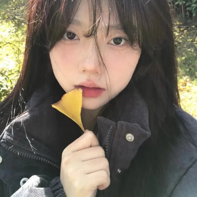 寂寞的十七岁